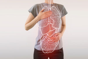 Human Organs